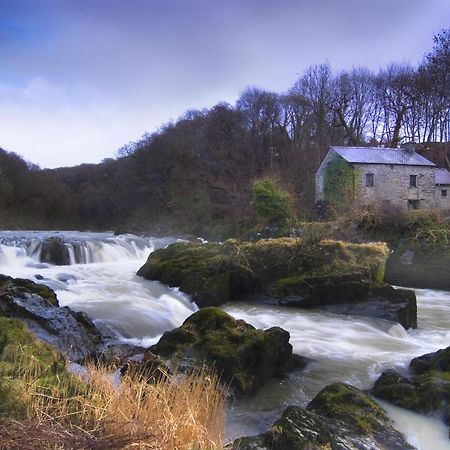 Garden Cottage Newcastle Emlyn Ngoại thất bức ảnh