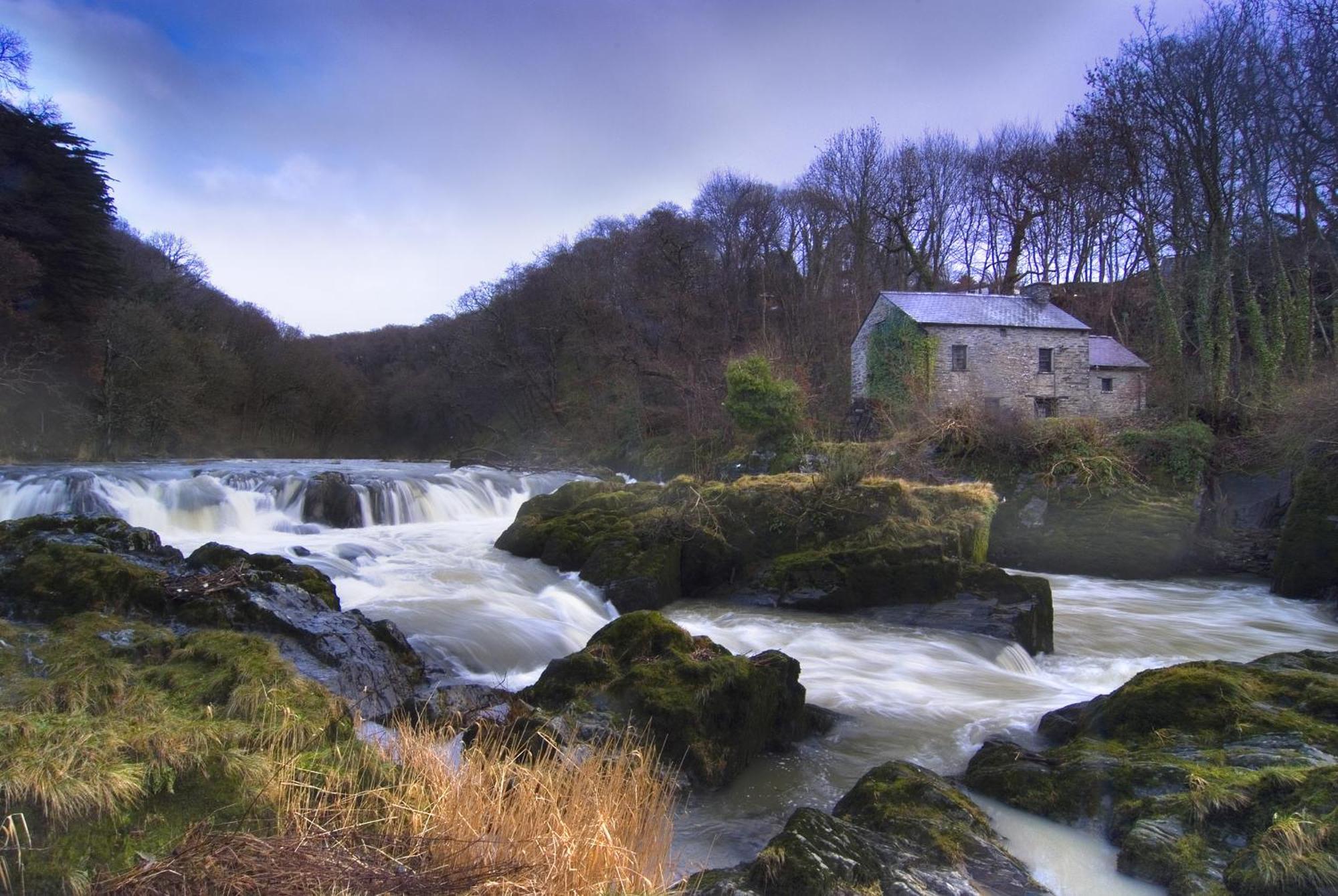 Garden Cottage Newcastle Emlyn Ngoại thất bức ảnh